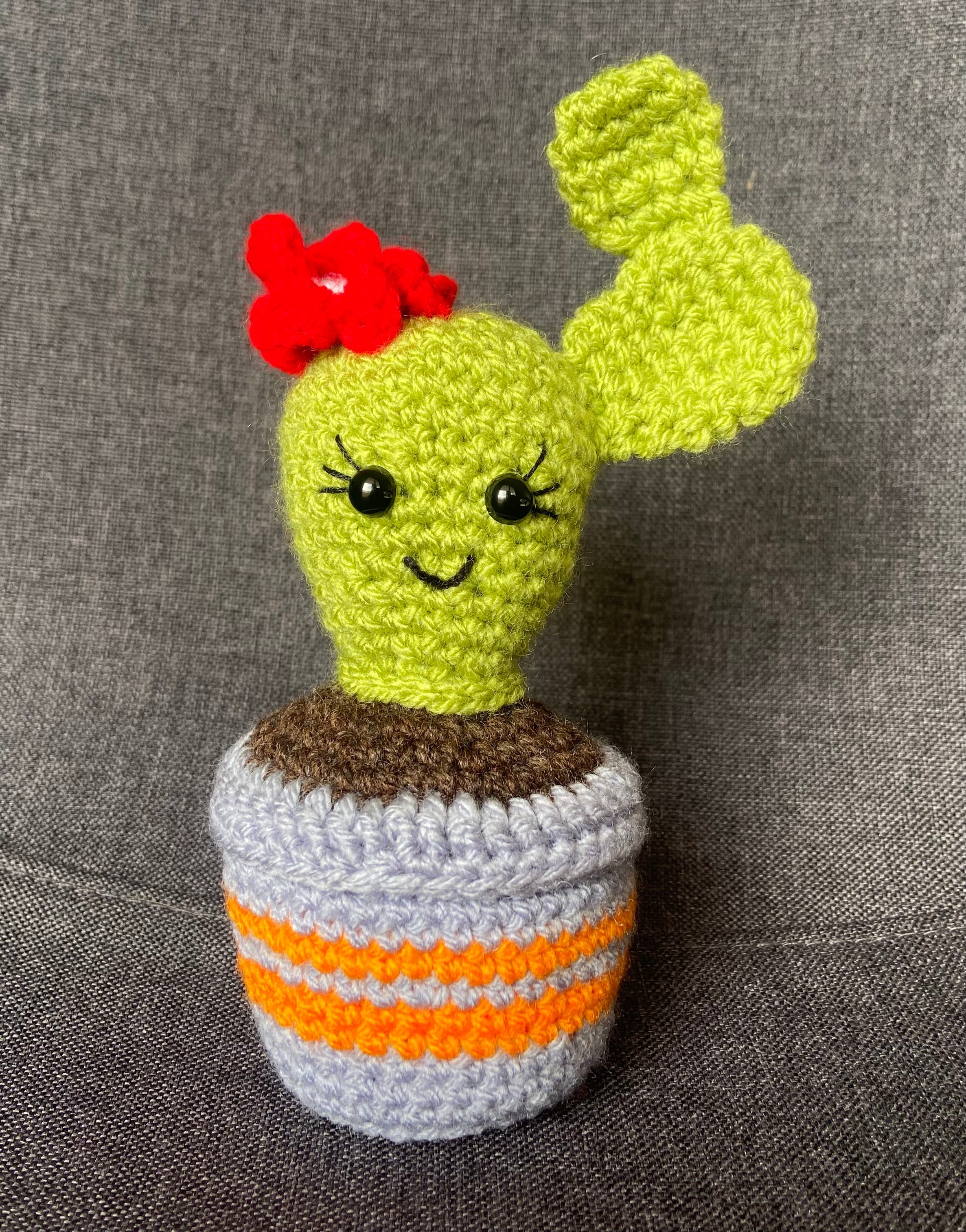 Mes créations de cactus