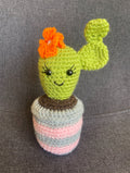 Cactus au crochet fait main – Cadeau retraite & déco kawaii Les Crochets d'Isabelle
