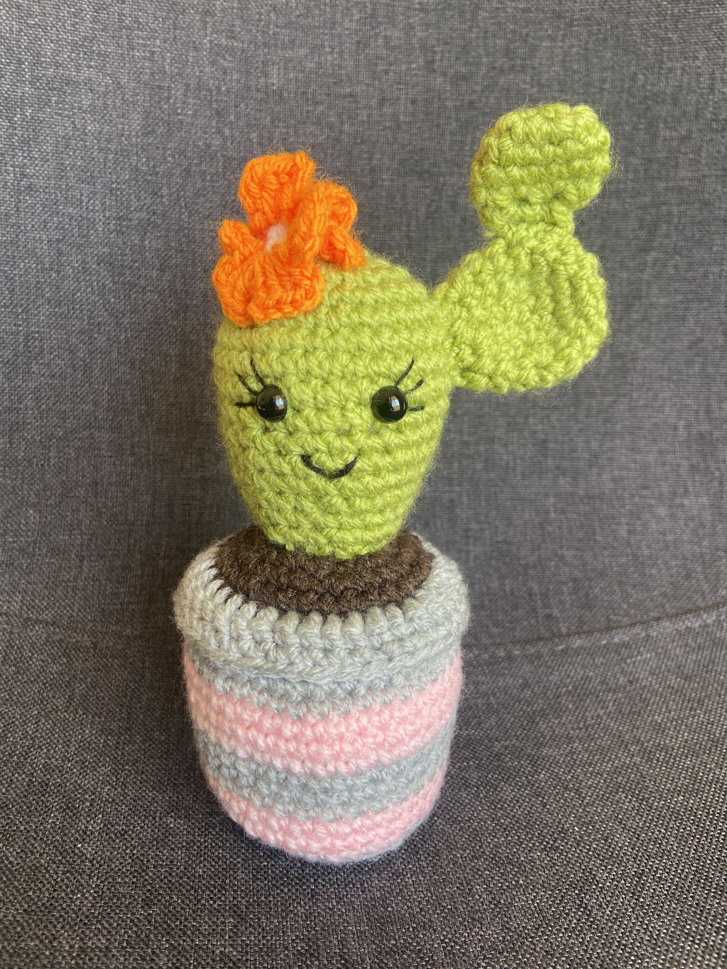 Cactus au crochet fait main – Cadeau retraite & déco kawaii Les Crochets d'Isabelle