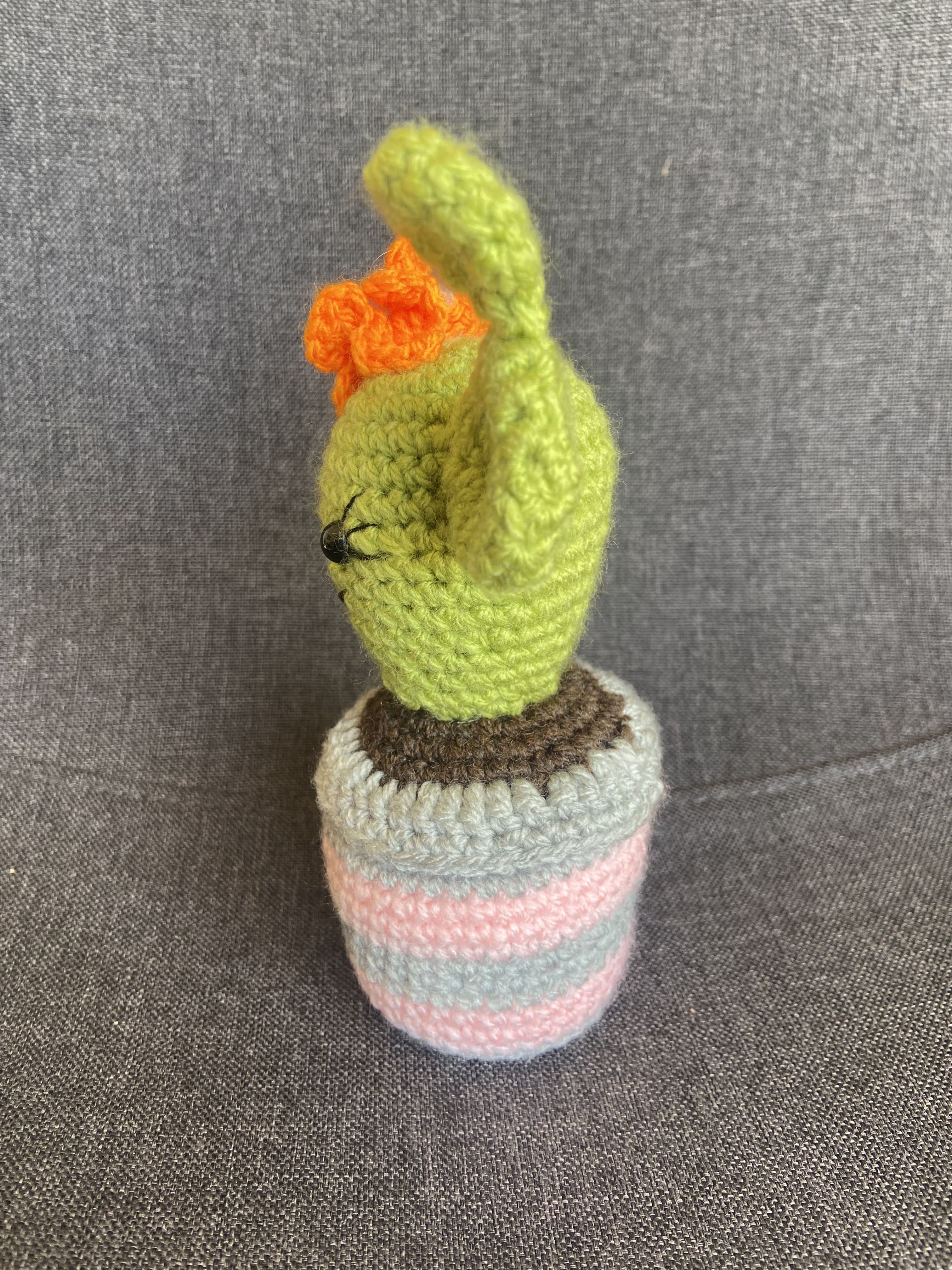 Cactus au crochet fait main – Cadeau retraite & déco kawaii Les Crochets d'Isabelle