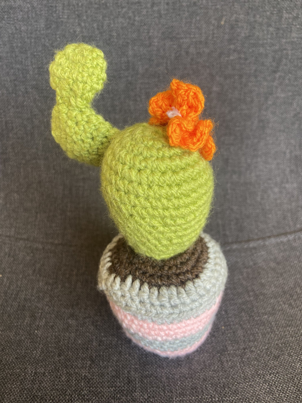 Cactus au crochet fait main – Cadeau retraite & déco kawaii Les Crochets d'Isabelle