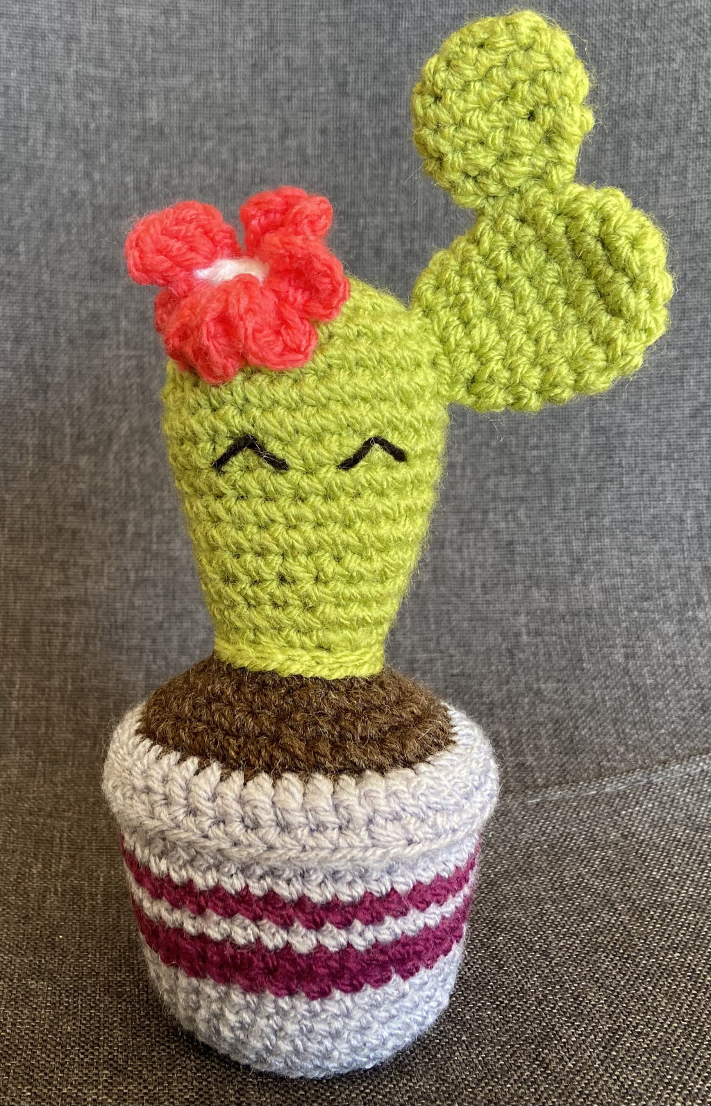Cactus au crochet fait main – Cadeau retraite & déco kawaii Les Crochets d'Isabelle
