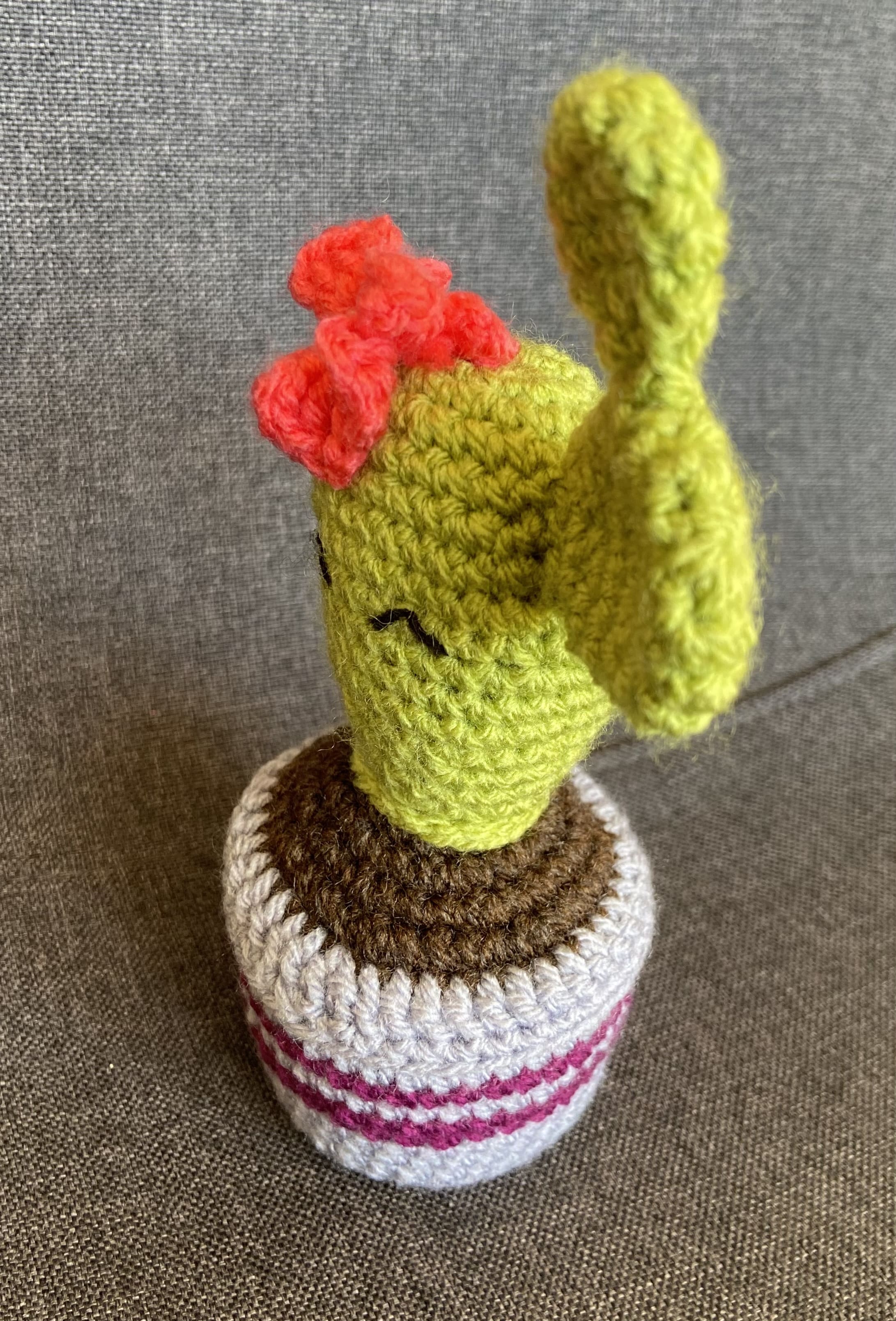 Cactus au crochet fait main – Cadeau retraite & déco kawaii Les Crochets d'Isabelle