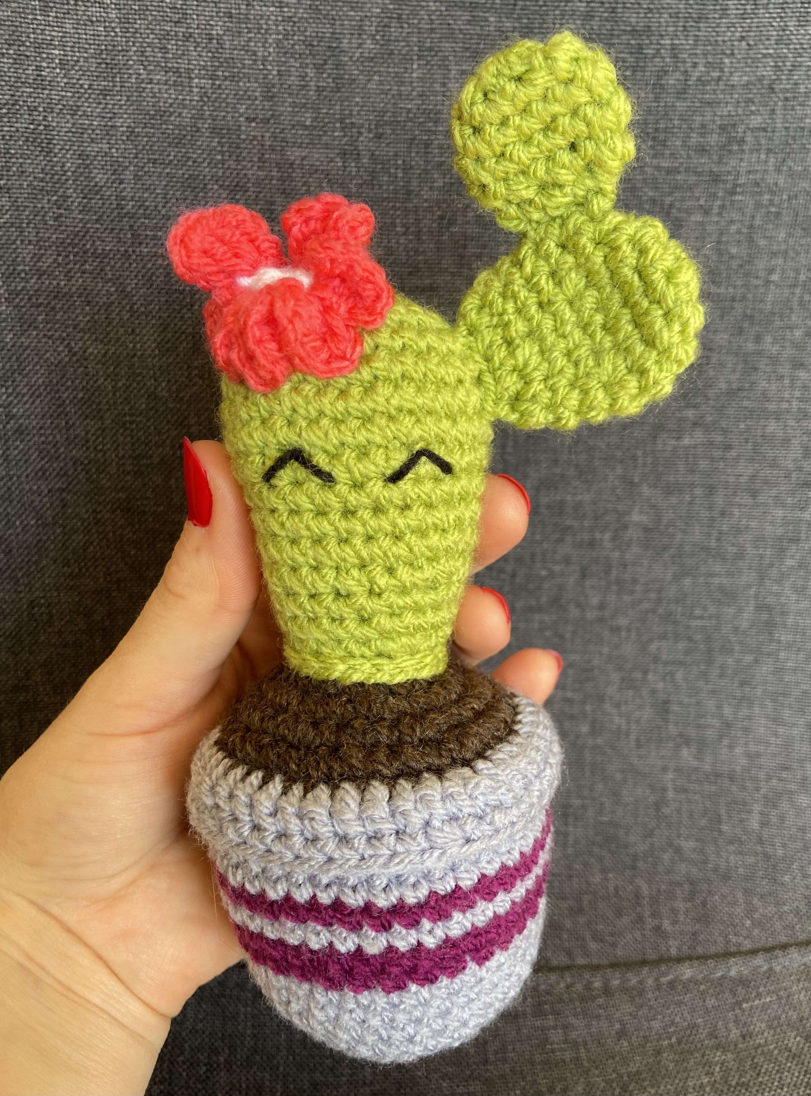 Cactus au crochet fait main – Cadeau retraite & déco kawaii Les Crochets d'Isabelle