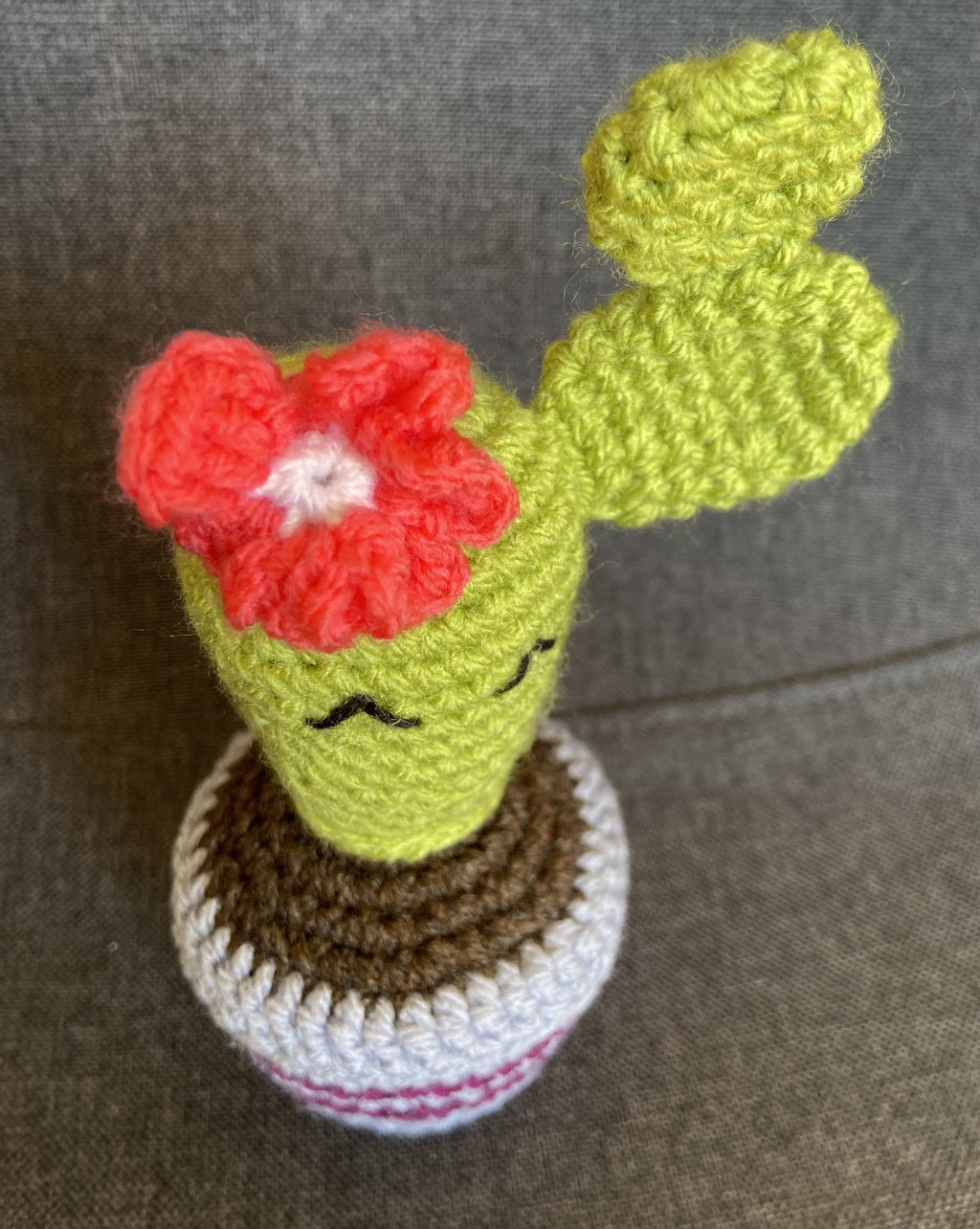 Cactus au crochet fait main – Cadeau retraite & déco kawaii Les Crochets d'Isabelle