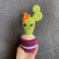 Cactus au crochet fait main – Cadeau retraite & déco kawaii Les Crochets d'Isabelle