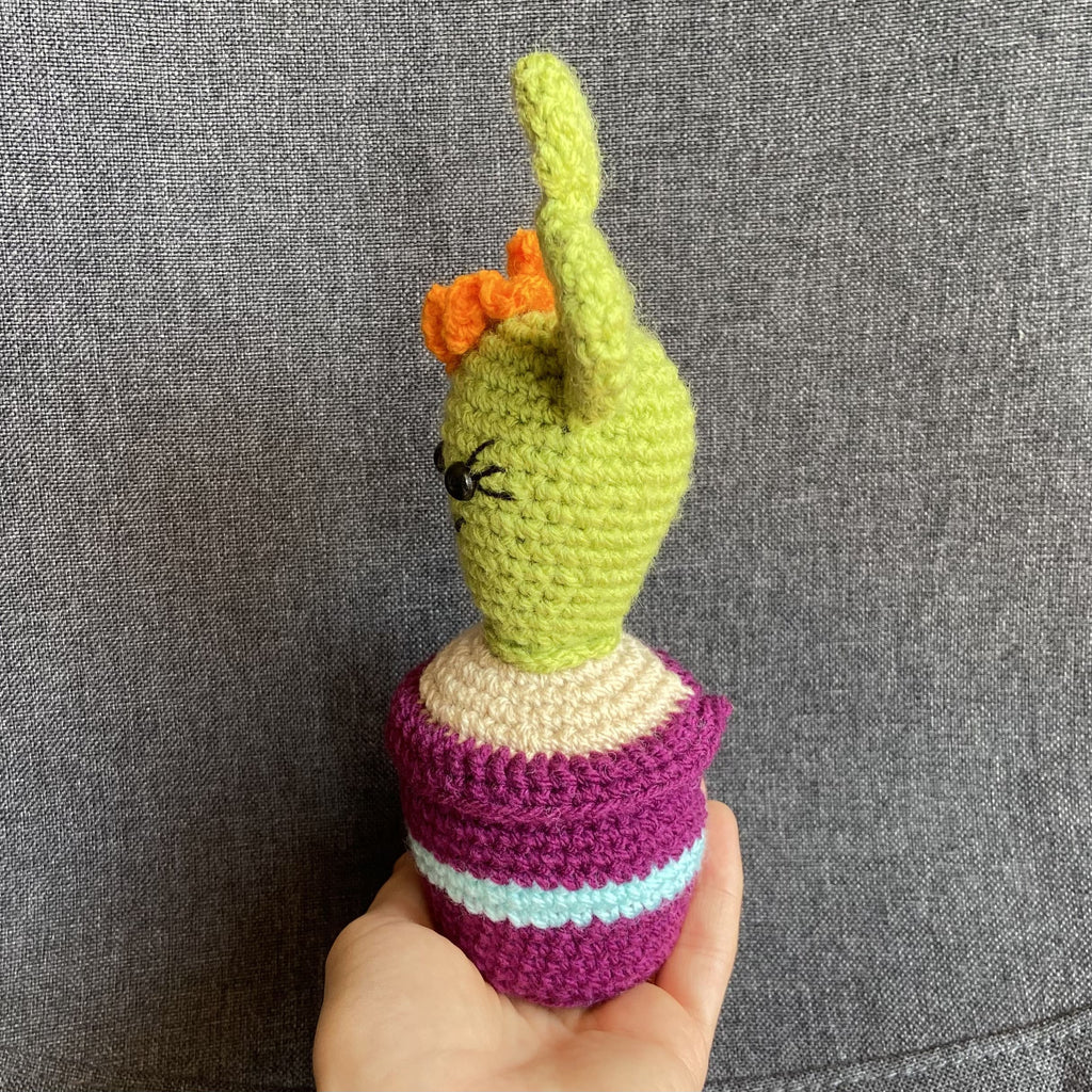 Cactus au crochet fait main – Cadeau retraite & déco kawaii Les Crochets d'Isabelle