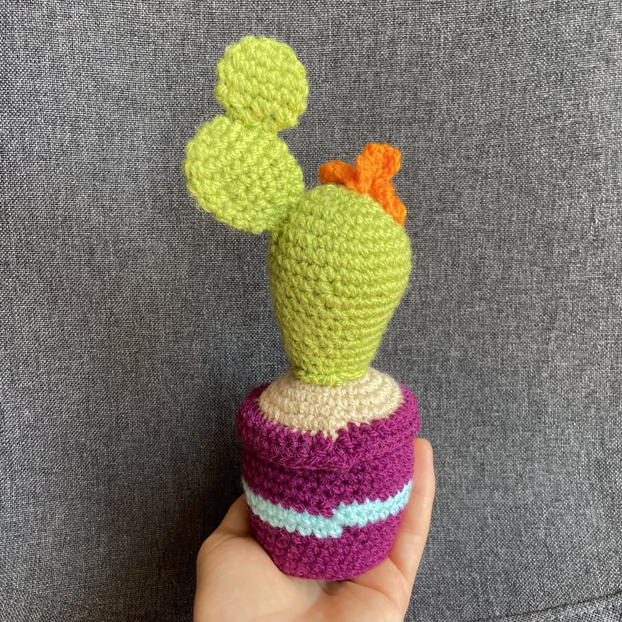 Cactus au crochet fait main – Cadeau retraite & déco kawaii Les Crochets d'Isabelle
