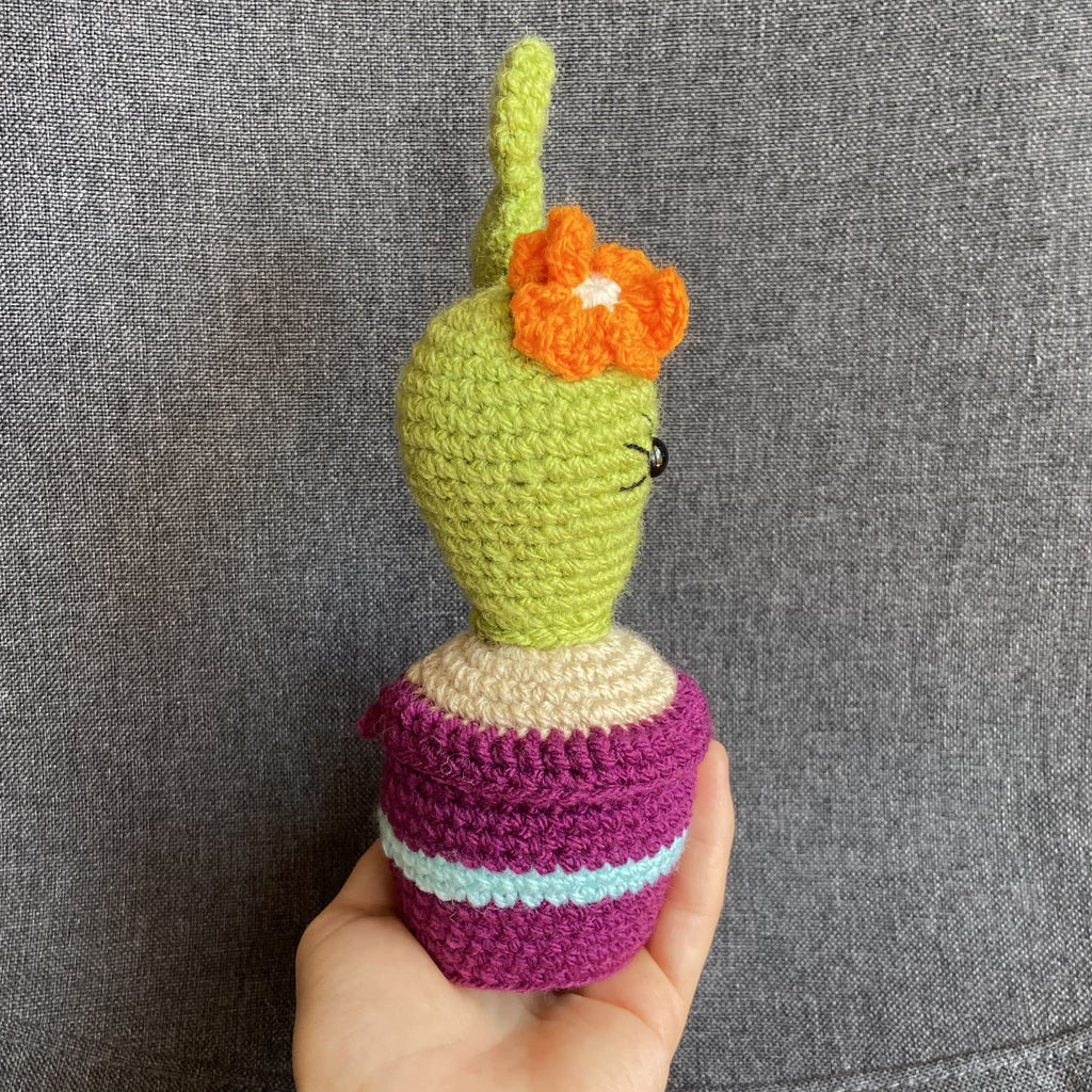 Cactus au crochet fait main – Cadeau retraite & déco kawaii Les Crochets d'Isabelle