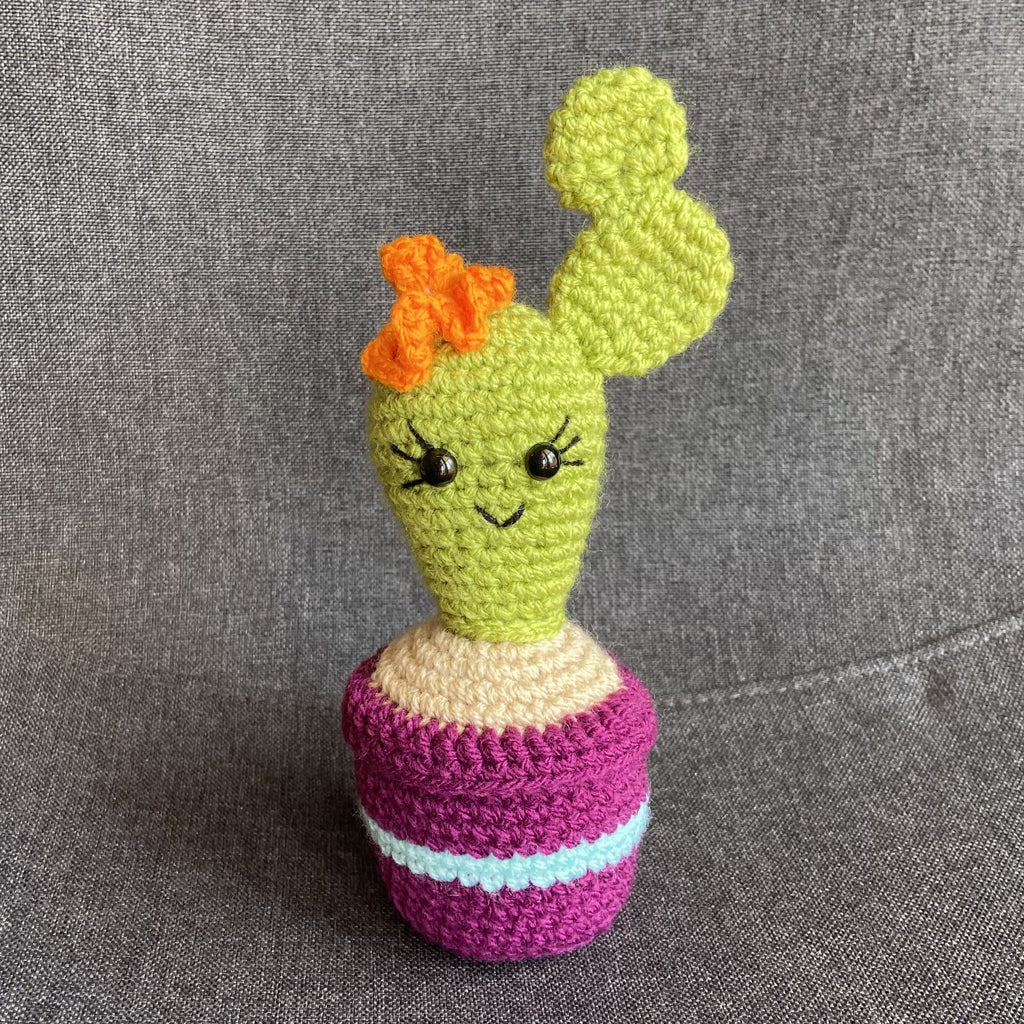Cactus au crochet fait main – Cadeau retraite & déco kawaii Les Crochets d'Isabelle