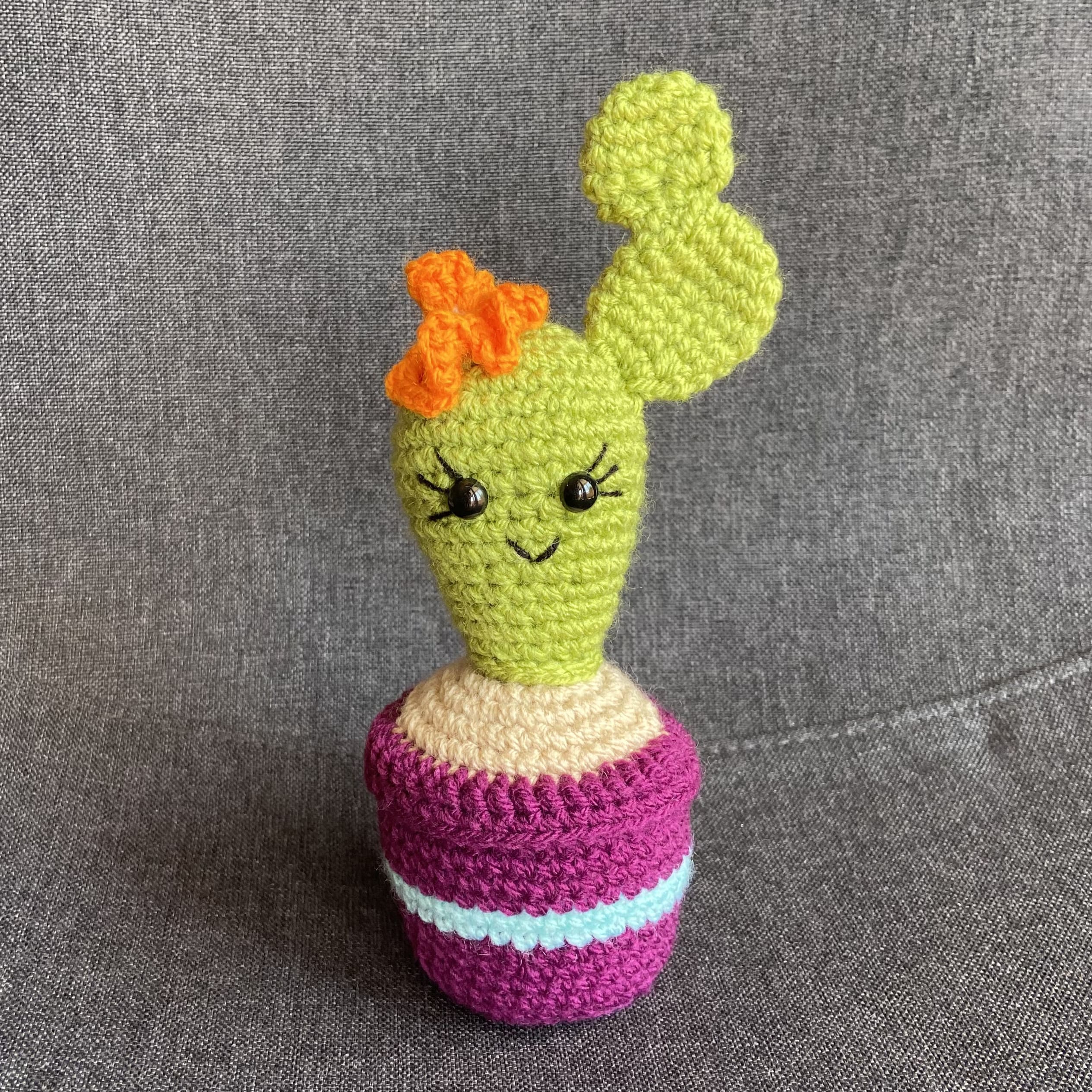 Cactus au crochet fait main – Cadeau retraite & déco kawaii Les Crochets d'Isabelle