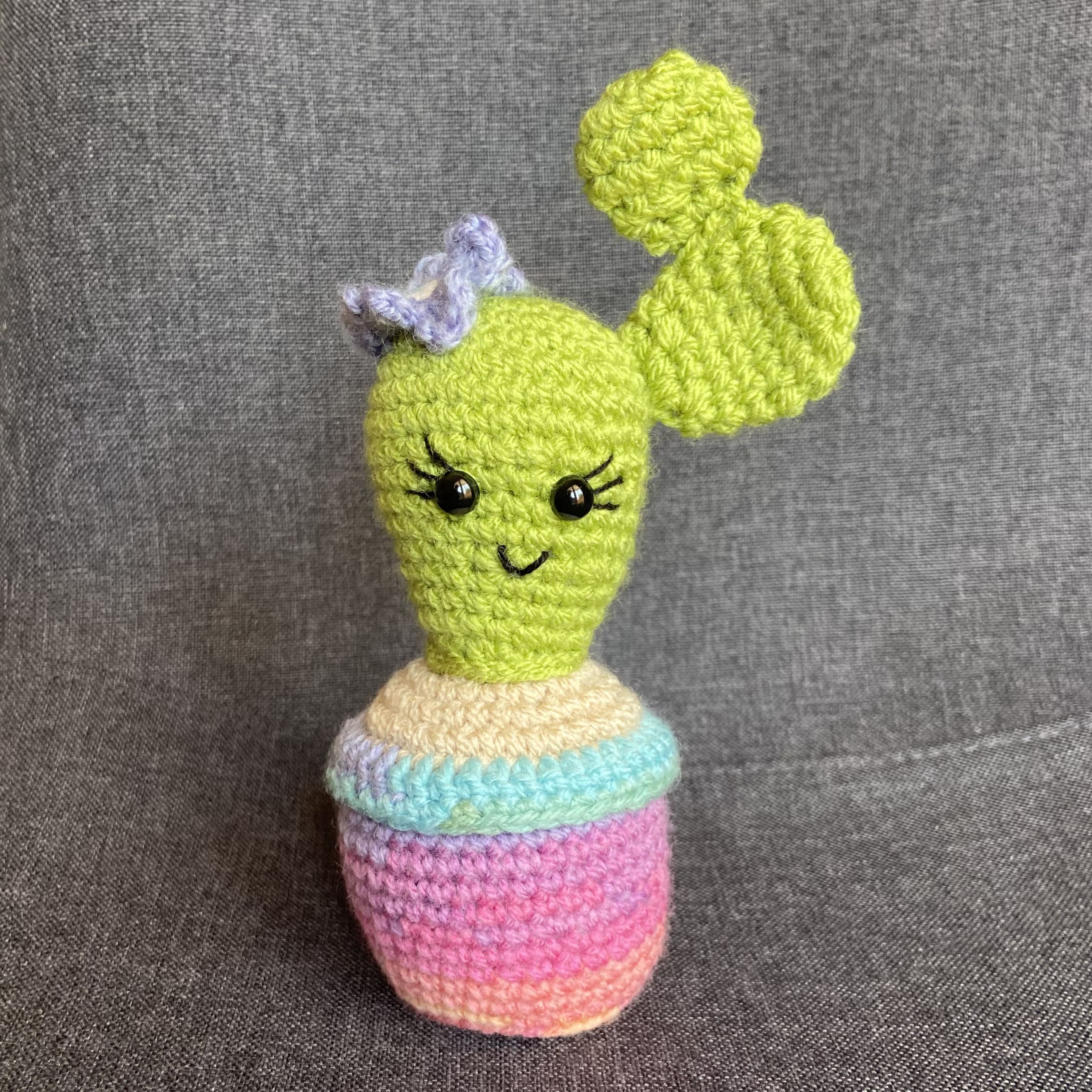 Cactus multicolore au crochet fait main – Cadeau retraite & déco kawaii Les Crochets d'Isabelle