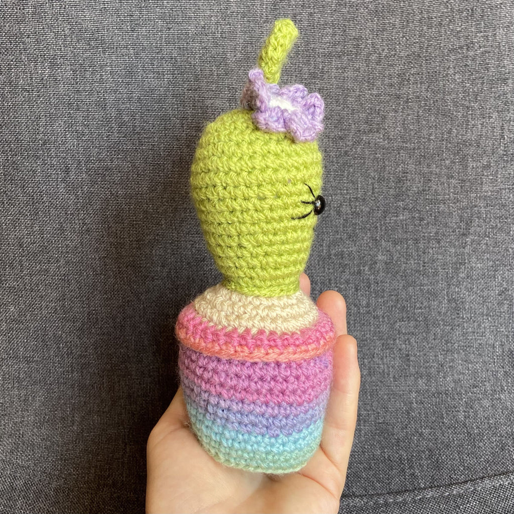 Cactus multicolore au crochet fait main – Cadeau retraite & déco kawaii Les Crochets d'Isabelle
