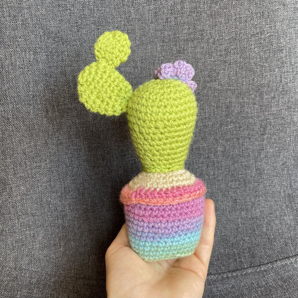 Cactus multicolore au crochet fait main – Cadeau retraite & déco kawaii Les Crochets d'Isabelle