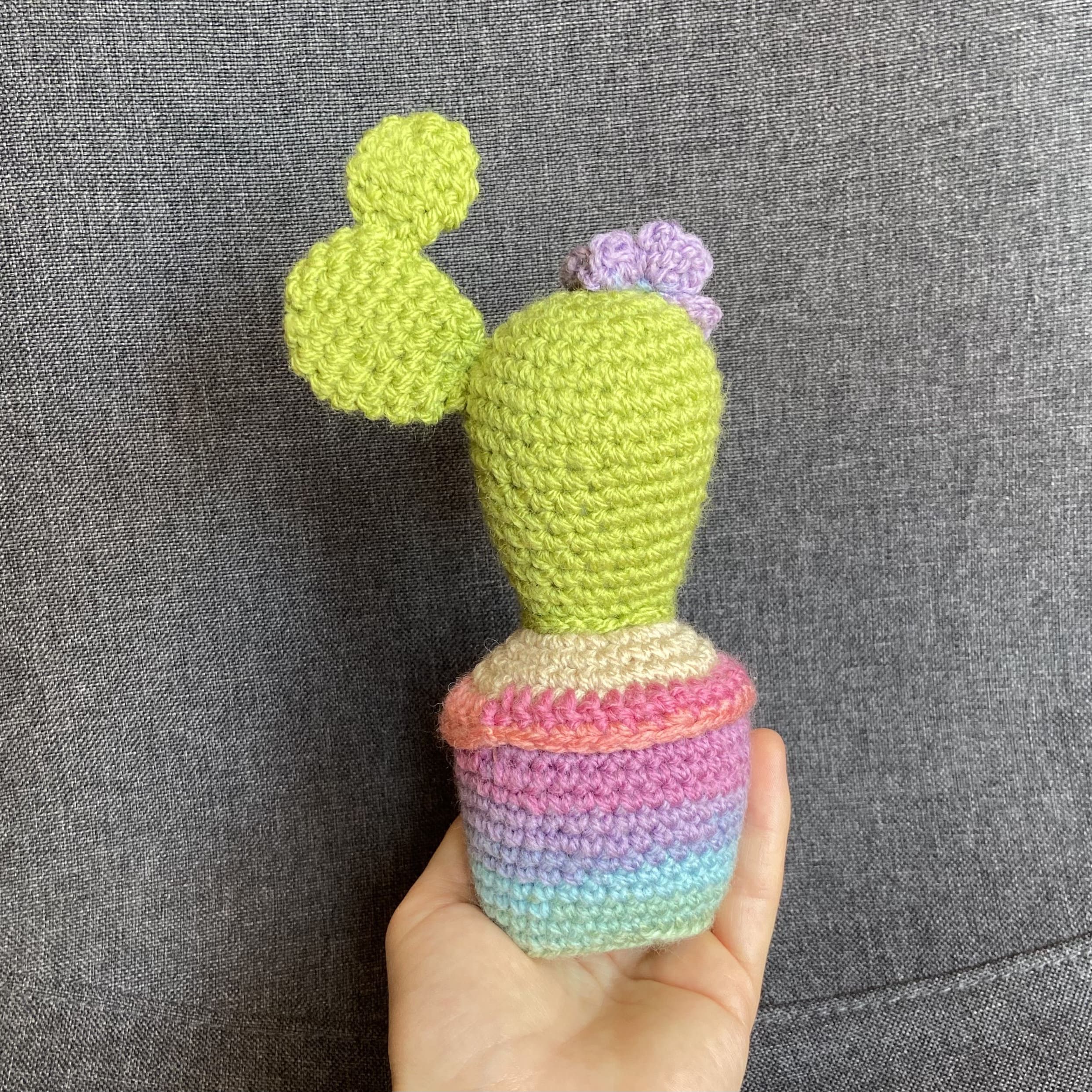 Cactus multicolore au crochet fait main – Cadeau retraite & déco kawaii Les Crochets d'Isabelle