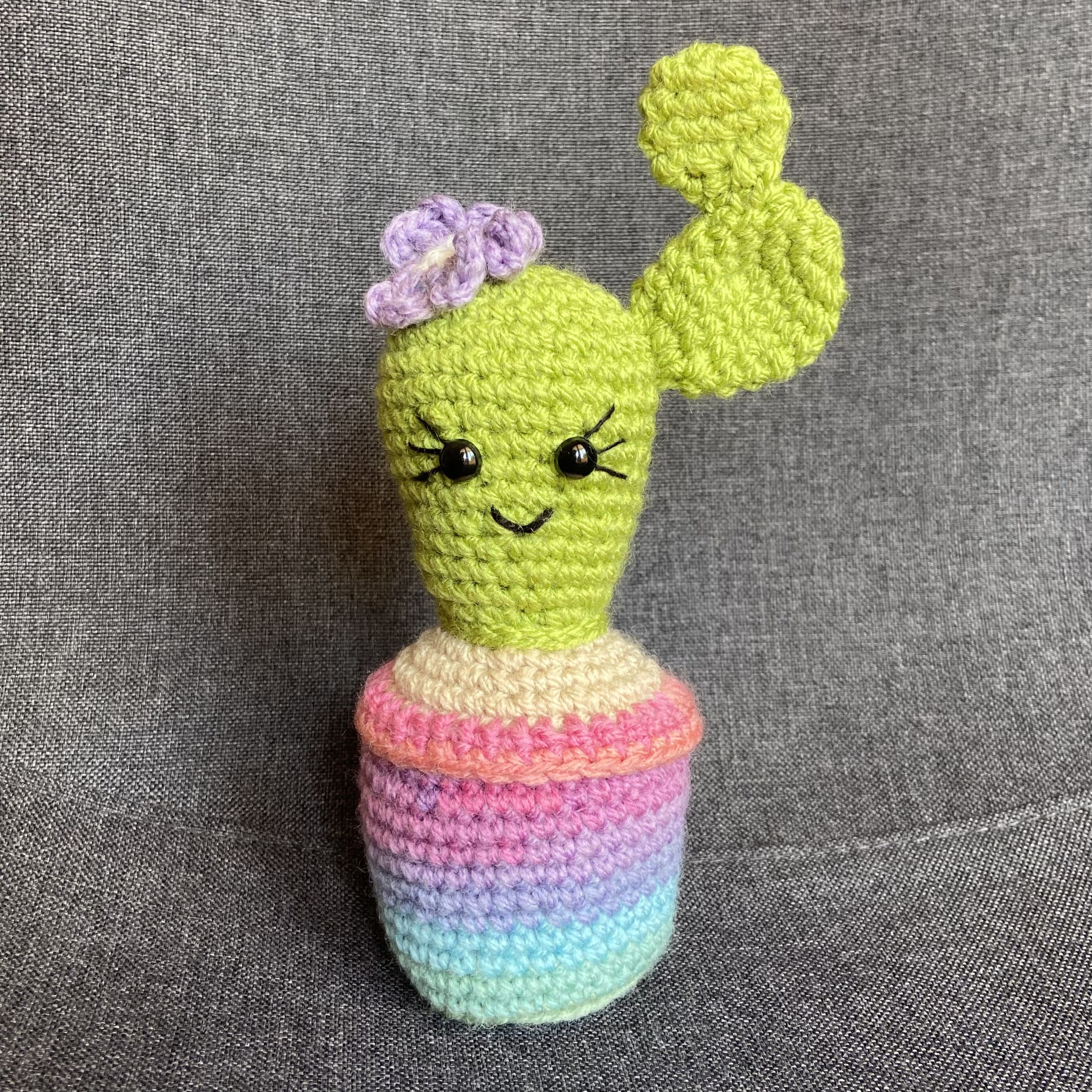 Cactus multicolore au crochet fait main – Cadeau retraite & déco kawaii Les Crochets d'Isabelle