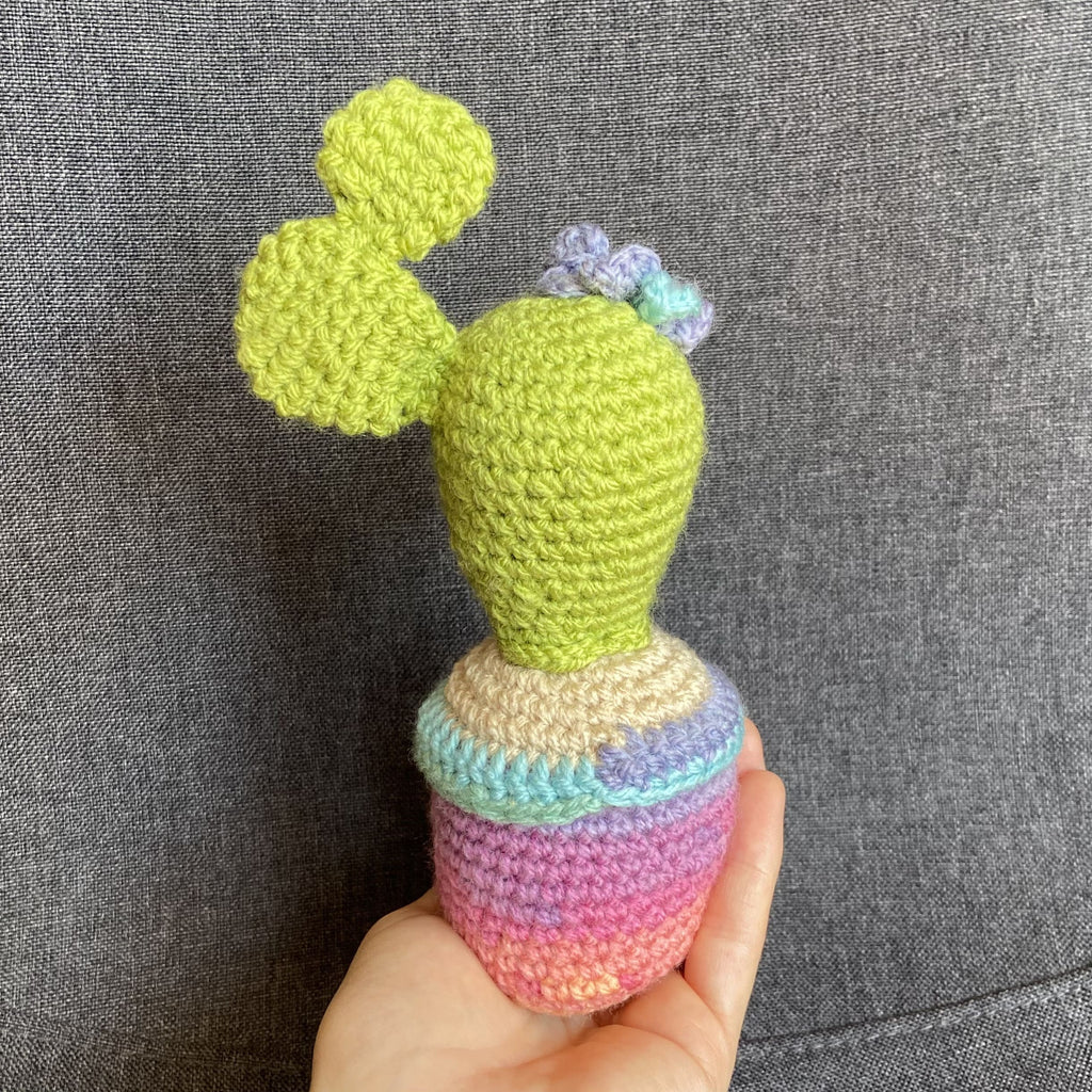 Cactus multicolore au crochet fait main – Cadeau retraite & déco kawaii Les Crochets d'Isabelle